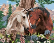 10116-0.webp