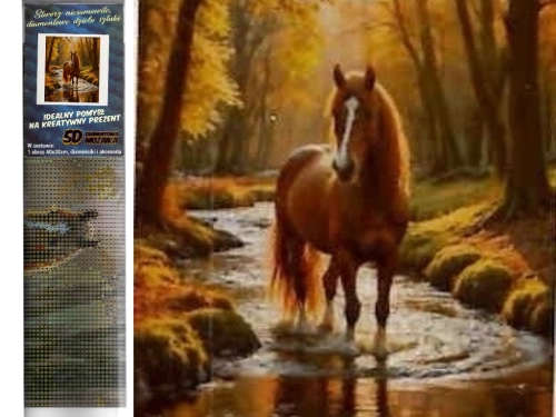 13849-0.webp