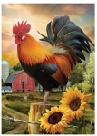 14902-0.webp