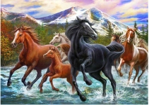 14905-0.webp