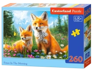 15143-0.webp