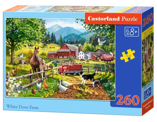 15144-0.webp