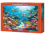 15155-0.webp