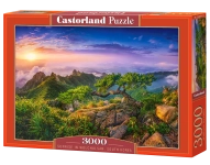 15156-0.webp