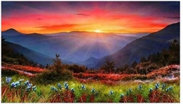 15217-0.webp