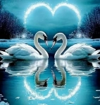 15224-0.webp